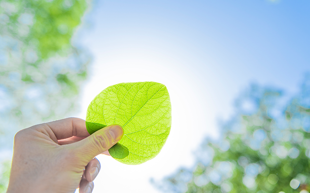 画像：サンプル